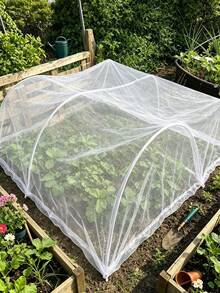 1件装植物攀爬网，攀爬植物支架网，尺寸3x6英尺/6x6英尺，种植用品和工具，耐用涤纶植物支撑网，可促进植物生长得更大更健康，适用于黄瓜、番茄、水果、蔬菜、葡萄、豆类和其他攀爬植物。 - 彩色 - 查看 4