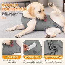 Dog Recovery Suit Soft Stretch Surgical Anti Licking Pet Recovery Shirt For Medium Large Dogs - Multicolor - View 4