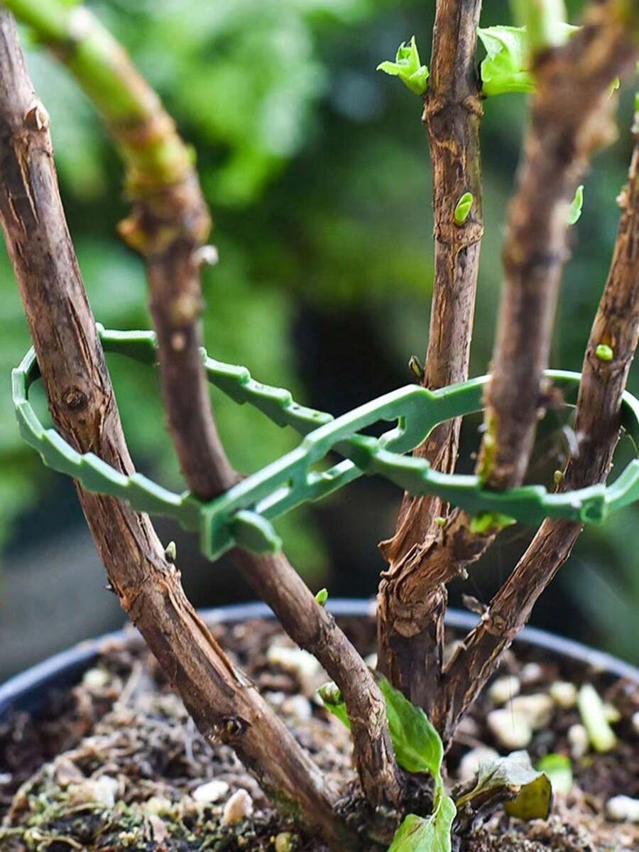 魚骨可調式園藝紮帶 多用途園藝綁繩 可拆卸式 可用於樹木、藤蔓與植物固定 適合植物莖部固定與造型 - 多色 - 查看 1