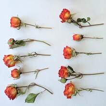 20pcs Artificial Rose Flowers, Faux Roses, Mini Rose Buds, Resin Handmade Mini Artificial Flowers, Craft Decoration Artificial Flowers, Wedding Home Decor, Wedding Floral Decoration - Orange - View 5