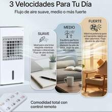 Coolers - Apricot - View 4