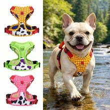 Dog Harness Harness For Small Dogs No Pull Dog Vest Harness For Small Dog With Soft Padded Handle For Outdoor Training - Multicolor - View 1