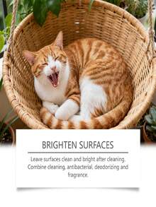 Cairan Pembersih Hewan Peliharaan, Penghilang Bau untuk Kucing, Bahan-Bahan Lembut, Pengharum Ruangan Segar Setiap Hari - 100ml - View 6