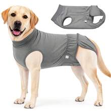 Dog Recovery Suit Soft Stretch Surgical Anti Licking Pet Recovery Shirt For Medium Large Dogs - Multicolor - View 21