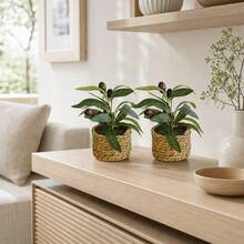 1/2pcs 5.51inch Olive Imitation Small Plants, With Pure Green Leaves That Are Versatile And Suitable For Cream Or Japanese Styles. They Are Suitable For Use On Home Coffee Tables, Model Rooms, Tea Rooms, And Study Desks As Decorative Items - Green - View 7