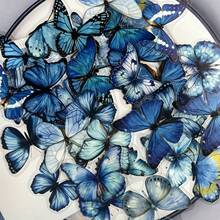 6 Packs Butterfly Graffiti Stickers, Stationery & Gift Packaging Supplies, Creative Fashion Manual Material Decoration DIY Stickers, Box Sealing Stickers, Commercial Product Packaging Sealing Stickers, Gift Box Decoration Bag Packaging Labels - 6-pack - View 10