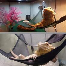 Juego de accesorios para terrarios de reptiles para lagartos, geckos, dragones barbudos y serpientes de tamaño, mediano y pequeño, que incluye hamacas, escaleras para trepar, plataformas de descanso y elementos decorativos. - Albaricoque - Ver 3