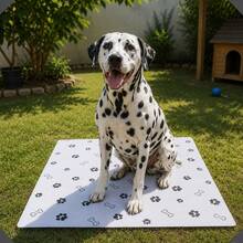 Jornal Papel Pet Limpo 5KG, Tapete Pet *60 à 300 * Folhas Cachorro Gato Hamster FOLHAS GRANDES 58x64 - Branco - Visão 4