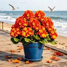 5pcs Outdoor Autumn Orange Geranium - Featuring Vibrant Autumn Orange Flowers And Green Leaves, Perfect For Indoor And Outdoor Decoration, Garden, Patio, Home Center Decor, Wedding And Engagement Occasions, Artificial Outdoor Flowers, Wedding Decoration, Vibrant Floral Arrangement, Realistic Petal Design, Decorative Foliage, Durable Plastic Flowers, Simulated Floral Display, Event Planner - Multiple Styles - View 6