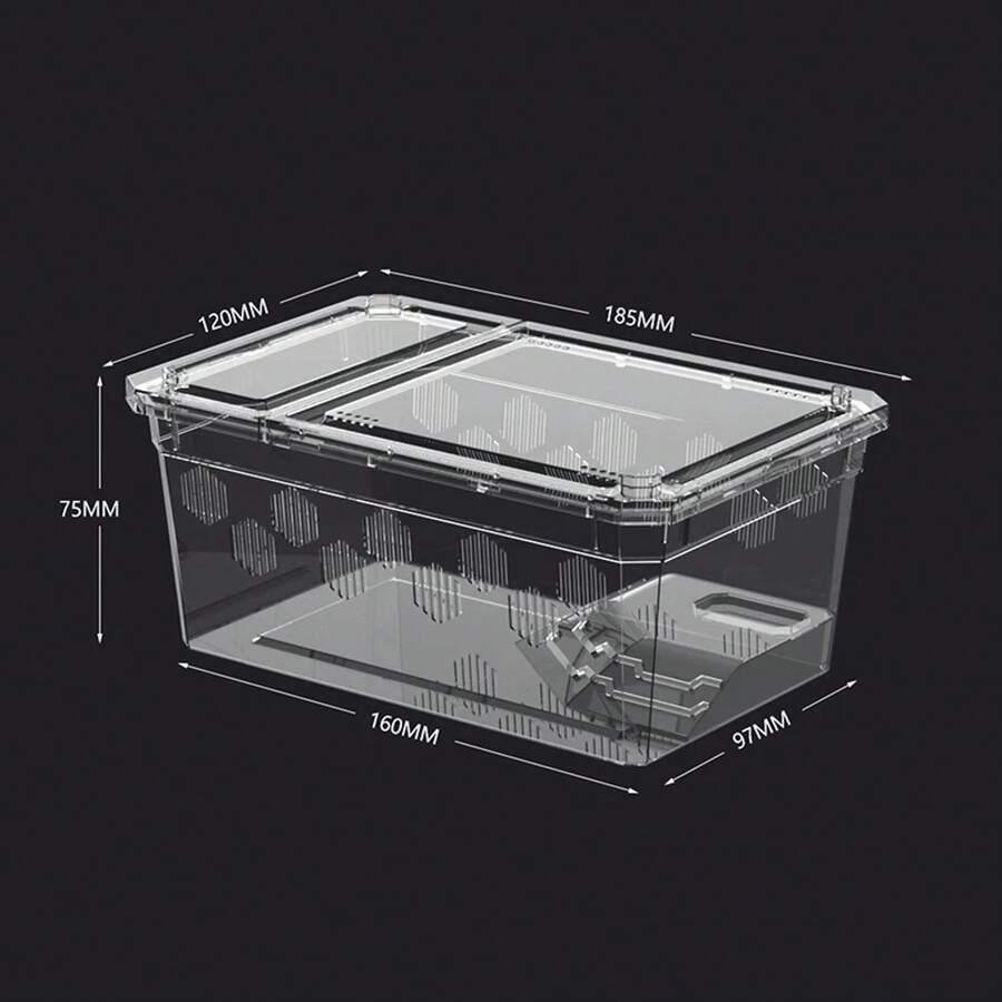 Terrariums - Army Green - View 1