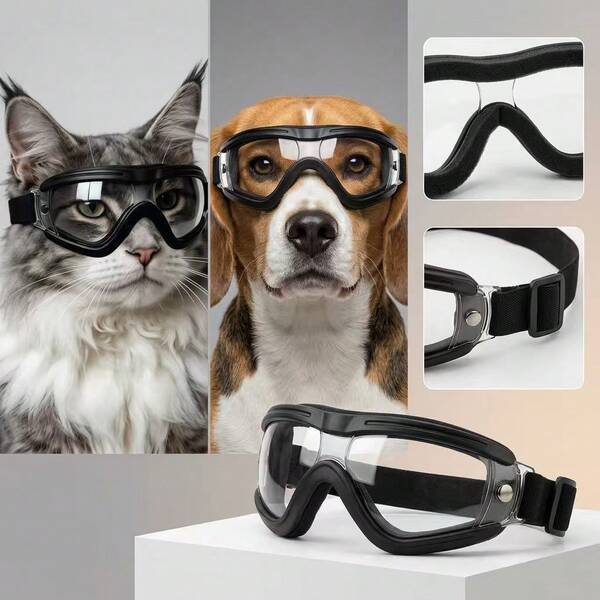 1pc Size 10*4*3 (Recommended Weight Around 30 ) Corgi Border Collie Teddy Dog Sunglasses, Suitable For Windproof Goggles, Pet Photo Decoration Glasses, Anti-UV Dog Glasses, Suitable For Outdoor Travel Dog Dog Supplies Puppy
