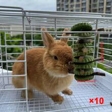 Hanging Durable Rabbit Chew Apple Branch Grass Cake Stick Edible Hamster Chew Treats - View 11