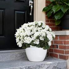 1PC Artificial Flowers Haitang Flower Wedding Bridal Bouquet Flower Wreath Home Room Dining Table Decoration Garden Autumn Decoration - White - View 4