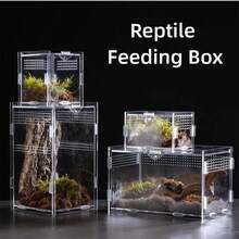 Terrariums - Beige - View 6