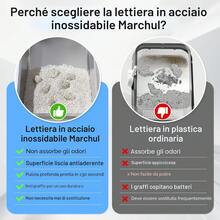 Katzentoiletten - Offener Eingang - Übersicht 3