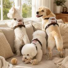 Summer Lightweight Dog Harness, Embroidered Pocket Design, Breathable Mesh Material, Soft Waterproof Fabric, Can Be Worn After Grooming, No Friction Pain, Equipped With Metal Buckle And Anti-Burst Pull Handle, Suitable For Small/Medium Dogs. Non-Chafing Leash - Beige - View 5
