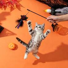 1pc Halloween Cat Teaser Doll Cartoon Plush Cat Doll With Feathers And Bell Series, New Halloween Cat Doll - View 3