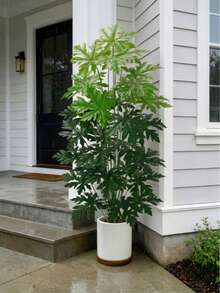 1pc Giant Artificial Palm Tree, Nordic Style, Tropical Leaves, Maintenance-Free Evergreen, Suitable For Home, Hotel, Office, Wedding, Party Decoration, Mother's Day, Graduation Season, Summer, Halloween - Green - View 8