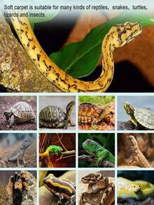 天然椰纖維爬行動物地毯，適用於裝飾蜥蜴、蛇和烏龜棲息地，亦可用於：寵物墊、雞舍、花盆椰土內襯、窗框和吊籃、椰殼捲與椰纖維墊、DIY花園裝飾苔蘚柱 - 彩色 - View 16
