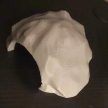 Reptile Cleaning Tools - Grey - View 1
