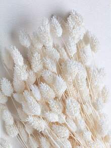 25/50/100Pcs Artificial Gem Grass Flowers, Artificial Plants, Multi-Color Options, Suitable For Bohemian Style Floral Arrangements, Handmade DIY Crafts, Home/Kitchen Decor, Wedding Backdrop, Christmas, Thanksgiving Decoration, Handmade Wreath Making. - White - View 1