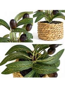1/3/4/5/6pcs Green Plant Stem Artificial Olive Tree Branches, Home Vase Wedding Decoration - Olive Potted Plants - View 4