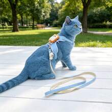 2Pcs/Set, Stylish & Eye-Catching: Blue Toast Harness & Fish Leash Set, Universal For Small To Medium Cats & Dogs, Breathable & Non-Choking, Sturdy & Portable, Top Choice For Daily Outdoors - Multicolor - View 3