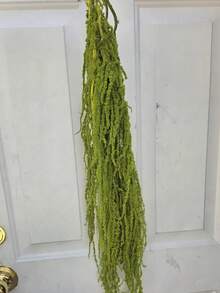 1/2/3/4/5/10件人造吊掛式莧穗花，花藝裝飾品，吊掛花藝，婚禮拱門裝飾，背景裝飾 - 黃綠色吊米 - 查看 5