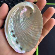 1pc 2.7-5.54 Inch Large Abalone Shell, Abalone Shell Incense Burner, Can Be Used For Burning Sage, Home Decor, Room Decor, Also Suitable For Yoga Studio, Camping, Garden, Patio, Classic Candlelight Dinner Prop, Decorative Gift, Birthday Graduation Gift - Multicolor - View 11