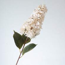 1pc Autumn Long Stem Vintage Hydrangea Artificial Flower, Wedding Scene Decoration Aisle Guide Faux Flower Photography Prop - Multicolor - View 7