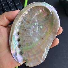 1pc 2.7-5.54 Inch Large Abalone Shell, Abalone Shell Incense Burner, Can Be Used For Burning Sage, Home Decor, Room Decor, Also Suitable For Yoga Studio, Camping, Garden, Patio, Classic Candlelight Dinner Prop, Decorative Gift, Birthday Graduation Gift - Multicolor - View 9