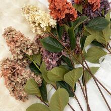 1pc Autumn Long Stem Vintage Hydrangea Artificial Flower, Wedding Scene Decoration Aisle Guide Faux Flower Photography Prop - Multicolor - View 3