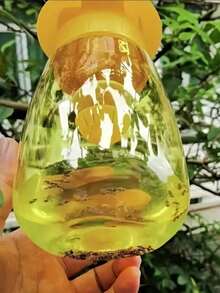 1個懸掛式可重複使用果蠅捕捉器，適用於廚房與果園害蟲防治，無需電力，塑膠材質，適合庭院與居家使用，附15cm大尺寸黃色黏性捕蠅貼紙，集捕蠅瓶、捕蠅器、果蠅捕捉器、昆蟲捕捉器於一體，可搭配果蠅誘引劑使用（誘引劑不含） - 多色 - 查看 3