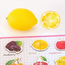 Children's Magnetic Fruit Learning Book, Perfect Gift For Son And Daughter - Magnetic Book-fruit Knowledge - View 7