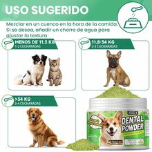 MEGNETA Polvo para el cuidado dental de perros y gatos | Mezcla de hierbas naturales y probióticos | Dientes limpios, aliento fresco | Dientes y encías saludables | Fácil de usar | Sabor a menta - Paquete de 1-Dos Botellas - Ver 8