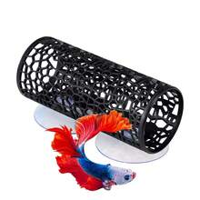 Aquarium & Fish Tank - Beige - View 4