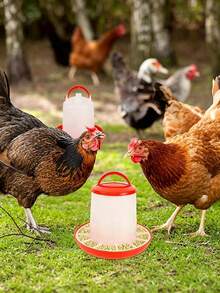 Automatic Pet Feeding And Watering Set, 160ml/1KG/2KG Capacity, Suitable For Chickens, Pigeons, Quails And Other Poultry, Livestock Feed Trough And Water Bucket, Unattended Feeding And Watering Equipment - Red and White - View 3