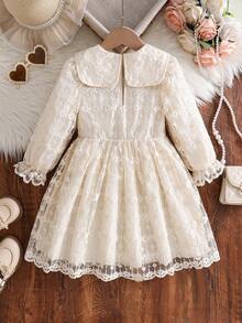Young Girl Casual Fashion Peter Pan Collar Long Sleeve Lace Dress For Party Spring Autumn Winter - Beige - View 2