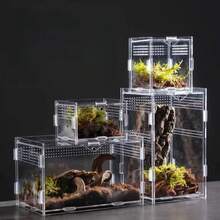 Terrariums - Beige - View 3