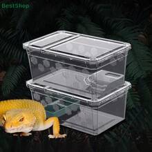 Terrariums - Army Green - View 6