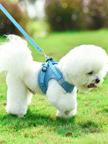 小型中型犬用狗胸背帶牽繩套裝，法鬥幼犬防拉胸衣，可調節柔軟透氣網布，四季舒適散步 - 彩色 - 查看 2