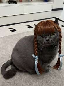 1pc Cat Double Braided Ponytail Wig Brown With Bowknot Bangs Ponytail Pet Costume Wig, Halloween - Coffee Brown - View 5
