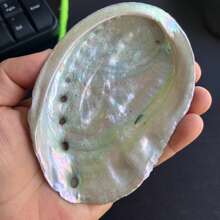 1pc 2.7-5.54 Inch Large Abalone Shell, Abalone Shell Incense Burner, Can Be Used For Burning Sage, Home Decor, Room Decor, Also Suitable For Yoga Studio, Camping, Garden, Patio, Classic Candlelight Dinner Prop, Decorative Gift, Birthday Graduation Gift - Multicolor - View 10