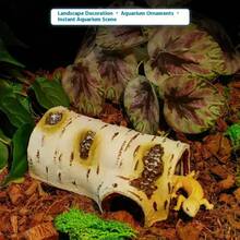 Terrarium Accessories - Apricot - View 6
