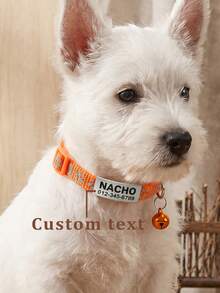Customized Reflective Personalized Cat Collar, With Detachable Buckle, Bell And Paw Print Design, Suitable For Small And Medium-Sized Male And Female Cats. - Orange - View 1
