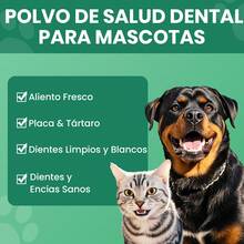 MEGNETA Polvo para el cuidado dental de perros y gatos | Mezcla de hierbas naturales y probióticos | Dientes limpios, aliento fresco | Dientes y encías saludables | Fácil de usar | Sabor a menta - Paquete de 1-Dos Botellas - Ver 10