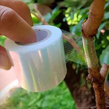 YITAPE 1 捲高級自黏接穗帶－寬 1.18 英吋，長 60 英吋，耐用塑膠材質，無結，適用於果樹苗接穗、果樹接穗工具、戶外園藝用品、植物支撐與保護設備、接穗膜、花藝膠帶、人造玫瑰、綠色捲帶、玫瑰膠帶、鮮花包裝、種植、膠帶、種子、包裝、塑膠膜、包裝膠帶、黏性包裝 - 透明 - 查看 11