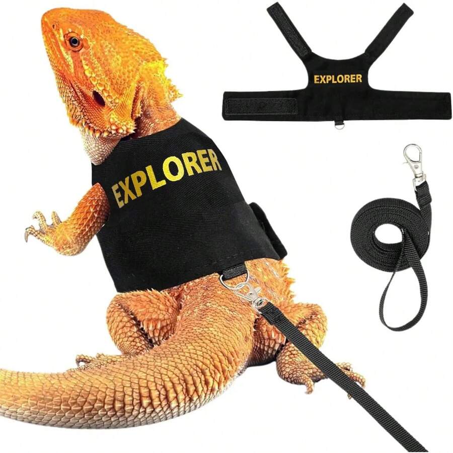 Arnés y Correa para Lagarto Barbudo, Arnés Ajustable para Reptiles con Correa de 1.5m, Collar y Correa para Mascotas Pequeñas, para Entrenamiento de Caminata al Aire Libre con Dragón Barbudo o Lagarto - Negro - Ver 1
