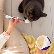 2 Pcs Dog Cat Spoon Wet Food Storage Pet Feeder Small Spoon Pet Can Spoons Stainless Steel Can Scoop Long Handle Food Scoop Portable Scoops For Cute Scoops Fit Feed Canned (White And Black) - White - View 5