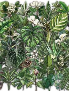 50pcs/Pack Cartoon Plants Green Leaves Transparent PET Stickers, Decorative Decals For Laptop Luggage Guitar Phone Notebook Stationery Sticker - Multicolor - View 1